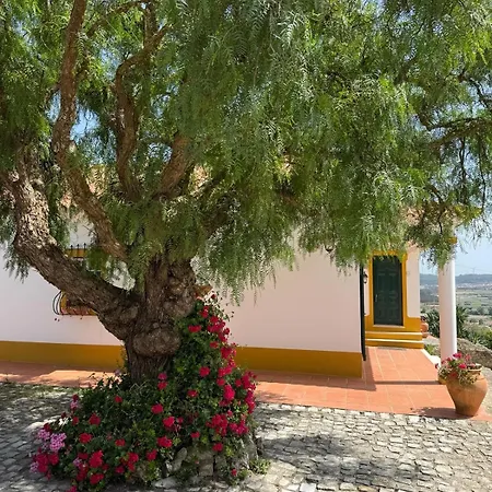 Monte De Santo Antonio - *