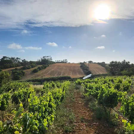 Monte De Santo Antonio - * Amoreira
