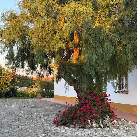 Monte De Santo Antonio - Amoreira